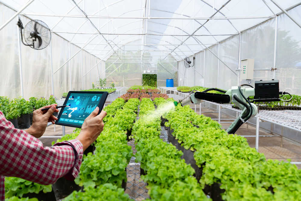 IoT Sensors in Modern Agriculture: A Complete Guide