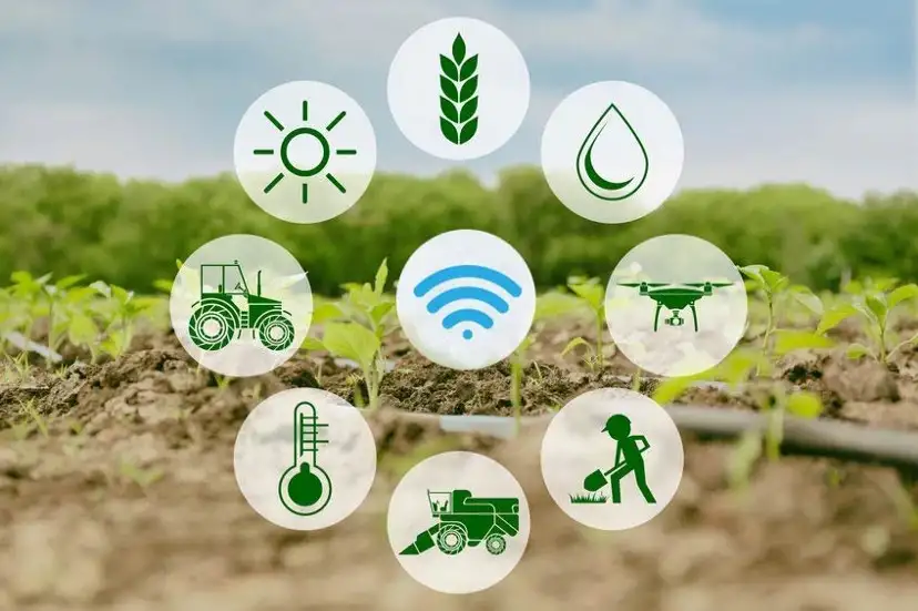 Sustainable Agriculture Through Precision Technology